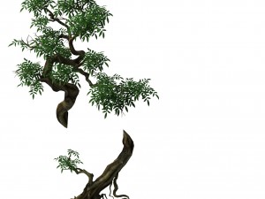 plant - green tree 7 Modèle 3D
