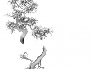 plant - green tree 7 Modèle 3D