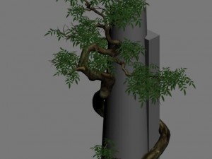 plant - green tree 7 Modèle 3D