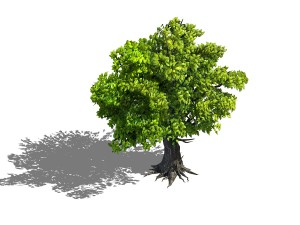 plant - green tree 7 Modèle 3D