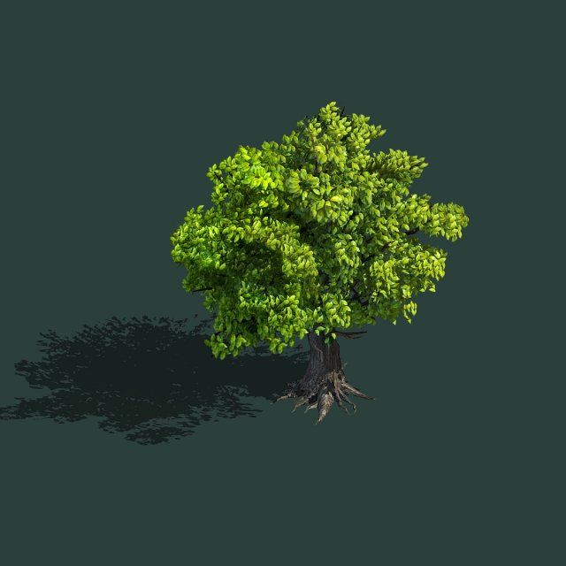 plant - green tree 8 3D-Modell .c4d .max .obj .3ds .fbx .stl .blend 