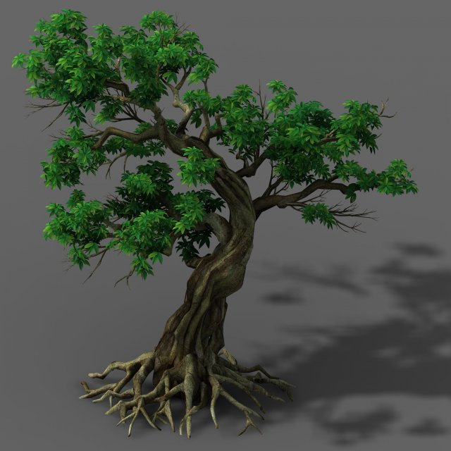 plant - green leaf tree 01 3D Model .c4d .max .obj .3ds .fbx .stl .blend 
