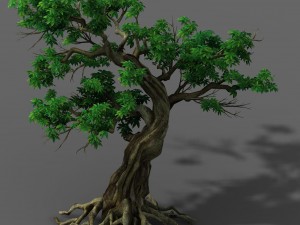 plant - green leaf tree 01 3D Модель