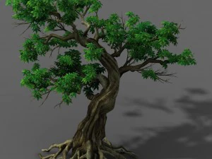 plant - green leaf tree 01 3D Model