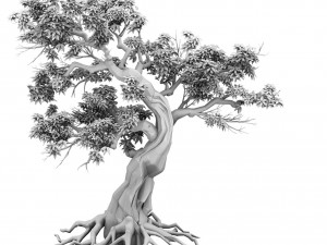 plant - green leaf tree 01 3D Model
