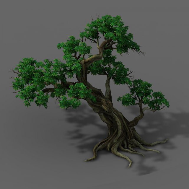 plant - green leaves 02 3D 模型 .c4d .max .obj .3ds .fbx .stl .blend