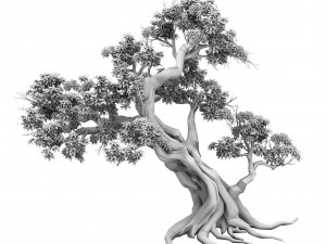 plant - green leaves 02 3D 模型