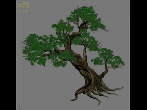 plant - green leaves 02 3D 模型