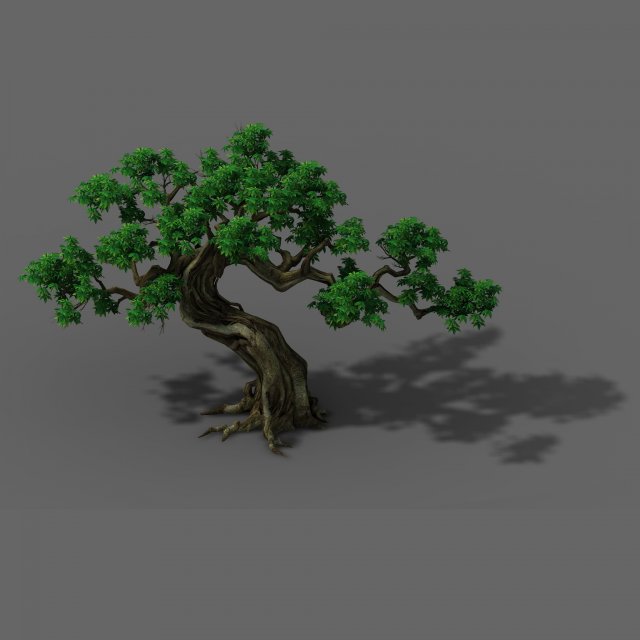 plant - green trees 03 3D Model .c4d .max .obj .3ds .fbx .stl .blend 