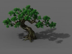 tanaman - pohon hijau 03 Model 3D