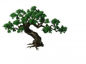 plant - green trees 03 3D Model