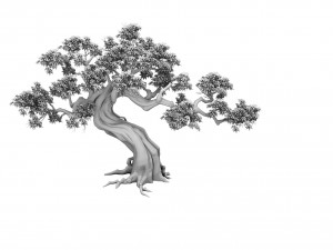 plant - green trees 03 3D Model