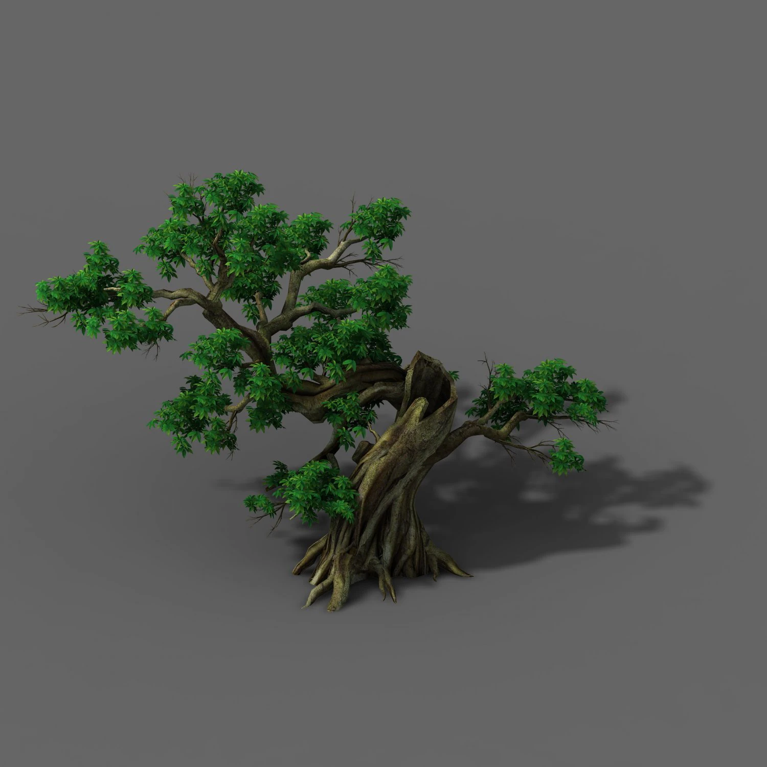 plant - green leaves 04 3D Model .c4d .max .obj .3ds .fbx .stl .blend 