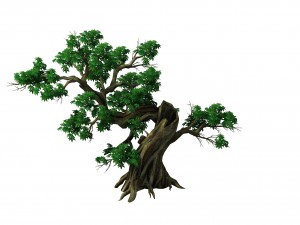 plant - green leaves 04 Modello 3D