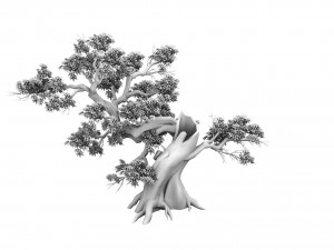 plant - green leaves 04 Modello 3D