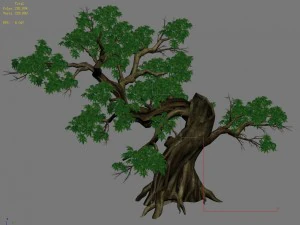 plant - green leaves 04 3D Model