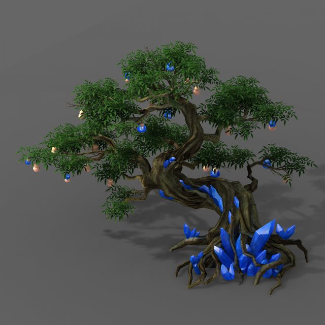 plant - ginseng fruit tree 3D Model .c4d .max .obj .3ds .fbx .stl .blend 