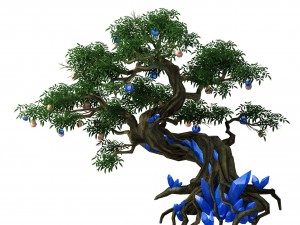plant - ginseng fruit tree 3D Model