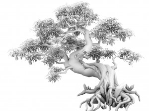 plant - ginseng fruit tree 3D Model