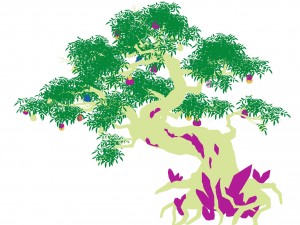 plant - ginseng fruit tree 3D Model