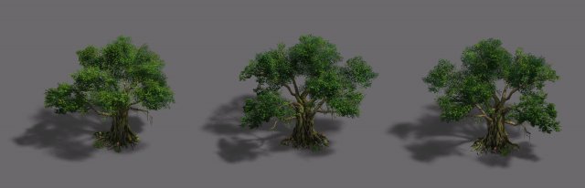 plant - banyan tree Modelo 3D .c4d .max .obj .3ds .fbx .stl .blend 