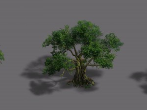 plant - banyan tree 3D Модель