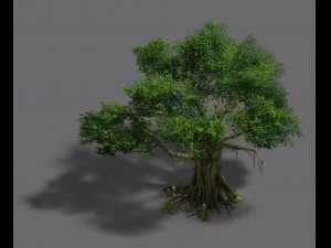 plant - banyan tree Modelo 3D