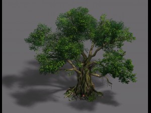 plant - banyan tree Modelo 3D