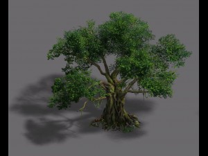 plant - banyan tree Modelo 3D