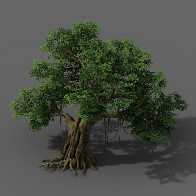 plant - banyan tree 01 3D Model .c4d .max .obj .3ds .fbx .stl .blend 