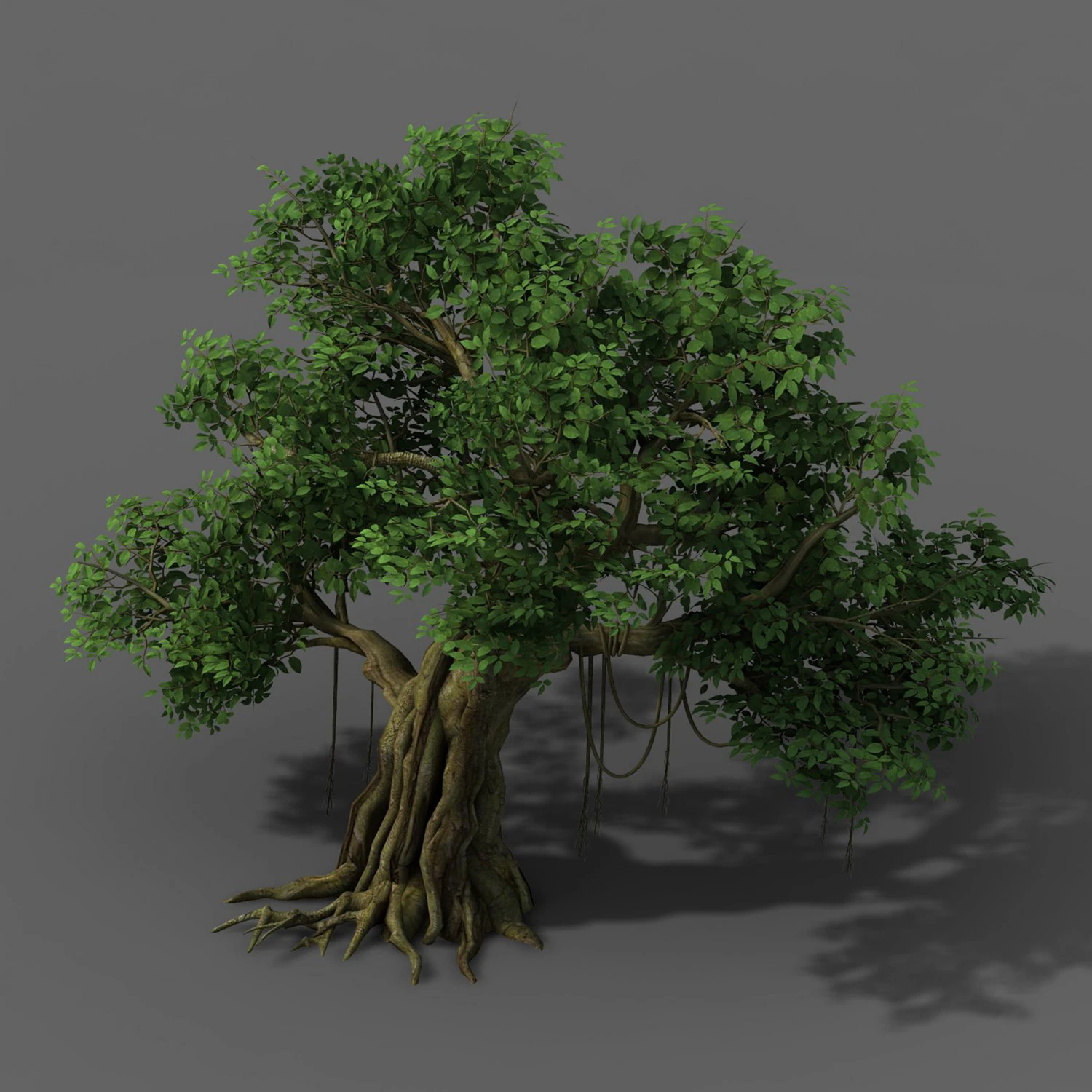 plant - banyan tree 01 3D Model .c4d .max .obj .3ds .fbx .stl .blend