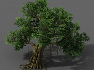 पौधा - बरगद का पेड़ 01 3D मॉडल