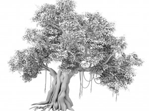 plant - banyan tree 01 3D Model