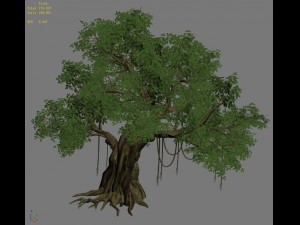 plant - banyan tree 01 3D Model