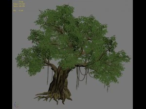 plant - banyan tree 01 3D Model