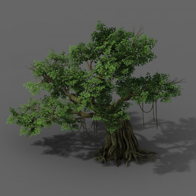 plant - banyan tree 02 3D Model .c4d .max .obj .3ds .fbx .stl .blend 