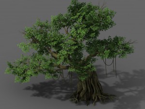 plant - banyan tree 02 3D Model