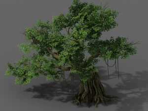bitki - banyan ağacı 02 3D Model