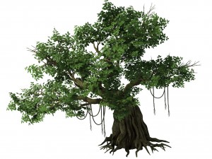 plant - banyan tree 02 3D Model