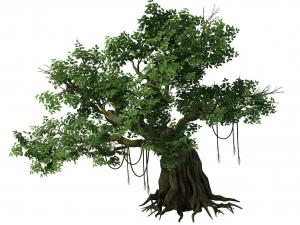 plant - banyan tree 02 3D Model