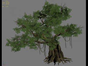 plant - banyan tree 02 3D Model