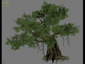 plant - banyan tree 02 3D Model