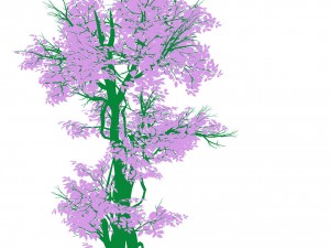 plant - banyan tree 03 Model 3D