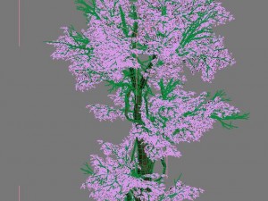 plant - banyan tree 03 Model 3D