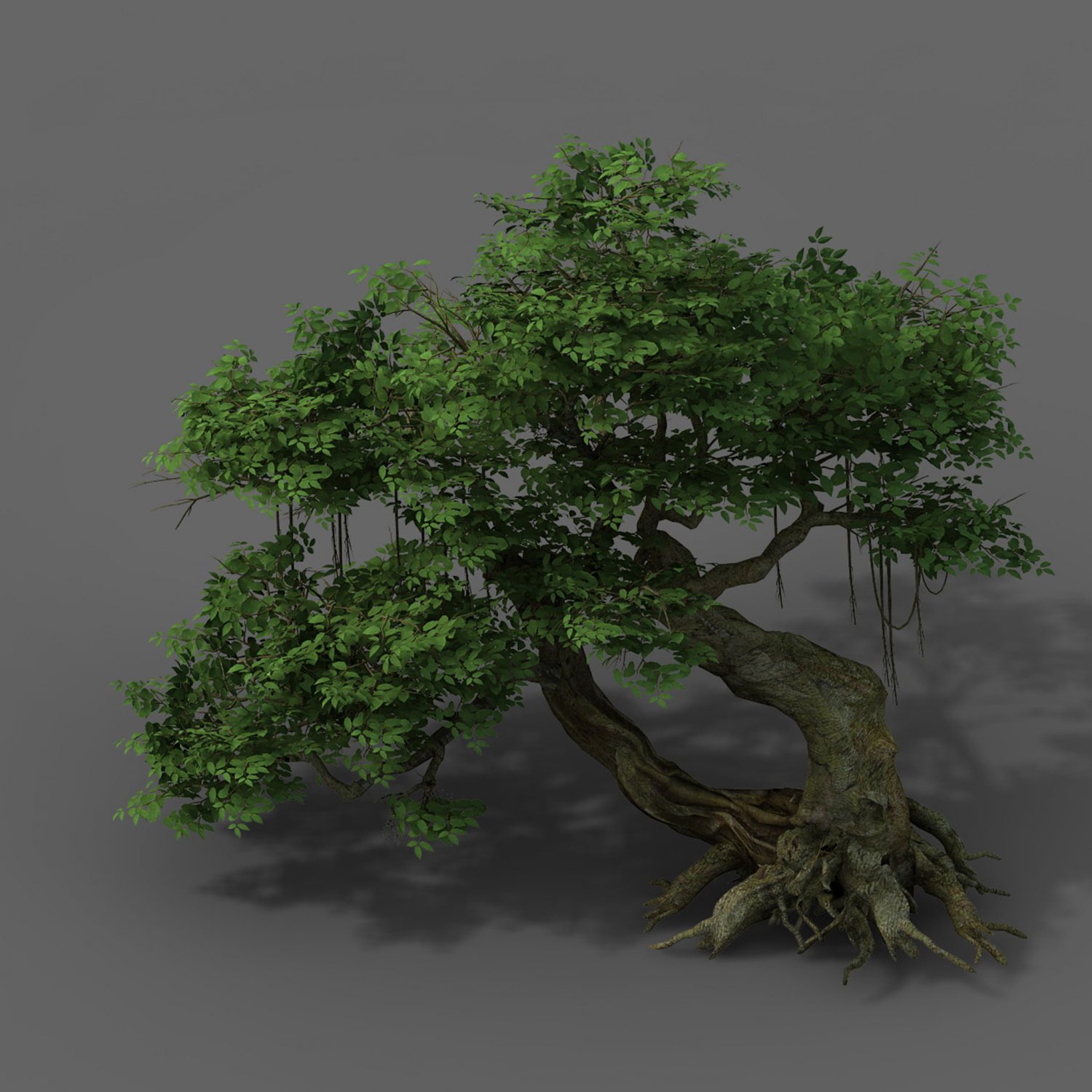 3d модели растения. Литое дерево 3d model. Oliver Tree 3d модель. 3д модель Вадхейм. Unitree 3d модель.