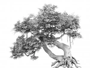 plant - banyan tree 04 3D Model