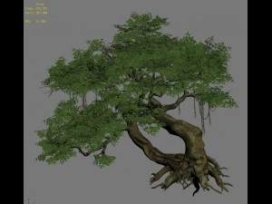 plant - banyan tree 04 3D Model