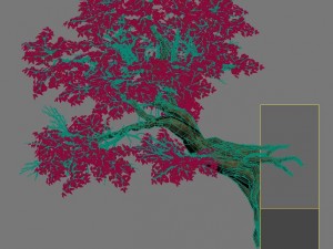 plant - banyan tree 05 Modèle 3D