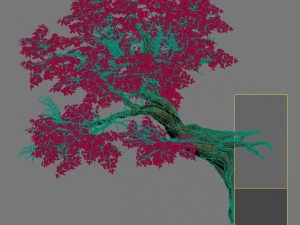 plant - banyan tree 05 3D Model