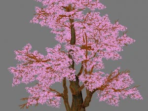 plant - banyan tree 06 3D Model